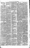 Lisburn Standard Saturday 26 May 1900 Page 3