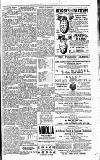 Lisburn Standard Saturday 30 June 1900 Page 7