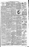 Lisburn Standard Saturday 24 November 1900 Page 3