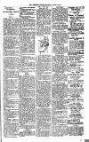 Lisburn Standard Saturday 16 March 1901 Page 3