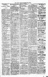 Lisburn Standard Saturday 23 March 1901 Page 3