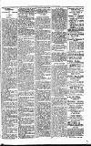 Lisburn Standard Saturday 30 March 1901 Page 3