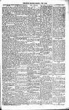 Lisburn Standard Saturday 05 April 1902 Page 5