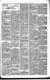 Lisburn Standard Saturday 19 April 1902 Page 3
