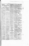 Lisburn Standard Saturday 03 January 1903 Page 3