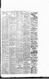 Lisburn Standard Saturday 07 February 1903 Page 3