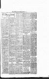 Lisburn Standard Saturday 14 February 1903 Page 3