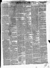 Westmeath Guardian and Longford News-Letter Thursday 16 March 1871 Page 3