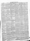 Westmeath Guardian and Longford News-Letter Thursday 06 March 1873 Page 3