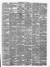 Westmeath Guardian and Longford News-Letter Thursday 01 July 1875 Page 3