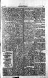 Bombay Gazette Wednesday 06 March 1833 Page 5