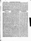 Englishman's Overland Mail Wednesday 05 January 1881 Page 5