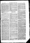 Englishman's Overland Mail Tuesday 09 February 1886 Page 29
