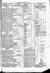 Englishman's Overland Mail Tuesday 08 July 1890 Page 19
