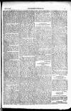 Englishman's Overland Mail Tuesday 18 August 1891 Page 19