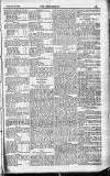 Englishman's Overland Mail Thursday 19 January 1899 Page 19