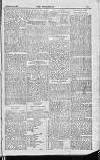 Englishman's Overland Mail Thursday 02 February 1899 Page 17
