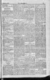 Englishman's Overland Mail Thursday 02 February 1899 Page 19