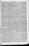 Englishman's Overland Mail Thursday 09 February 1899 Page 11