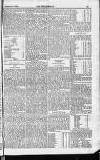 Englishman's Overland Mail Thursday 09 February 1899 Page 19