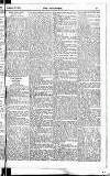 Englishman's Overland Mail Thursday 28 February 1901 Page 17