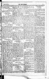 Englishman's Overland Mail Thursday 28 March 1901 Page 5