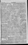 Englishman's Overland Mail Thursday 30 January 1902 Page 21