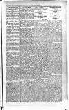 Englishman's Overland Mail Thursday 08 January 1920 Page 3