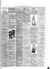 Cannock Chase Courier Saturday 06 January 1894 Page 7