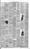 Cannock Chase Courier Saturday 09 February 1895 Page 7