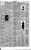 Cannock Chase Courier Saturday 02 March 1895 Page 7