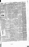 Cannock Chase Courier Saturday 17 May 1902 Page 3