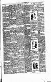 Cannock Chase Courier Saturday 19 November 1904 Page 9