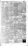 Cannock Chase Courier Saturday 25 January 1913 Page 5