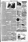 Toronto Saturday Night Saturday 11 February 1893 Page 3