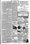 Toronto Saturday Night Saturday 11 March 1893 Page 3