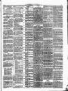 Richmond & Ripon Chronicle Saturday 30 January 1875 Page 3