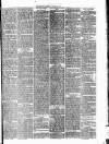 Richmond & Ripon Chronicle Saturday 19 August 1876 Page 6