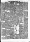 Hampshire Independent Saturday 11 January 1879 Page 7