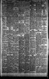 Hampshire Independent Saturday 18 October 1902 Page 5