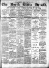 North Wilts Herald Monday 12 January 1874 Page 1