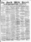 North Wilts Herald Saturday 15 January 1876 Page 1
