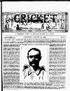Cricket Thursday 24 August 1882 Page 3