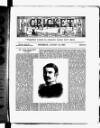 Cricket Thursday 25 August 1887 Page 3