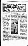 Cricket Thursday 31 July 1902 Page 3