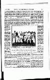 Cricket Thursday 07 August 1902 Page 11