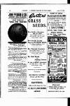 Cricket Thursday 30 April 1903 Page 10