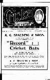 Cricket