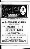 Cricket