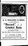 Cricket